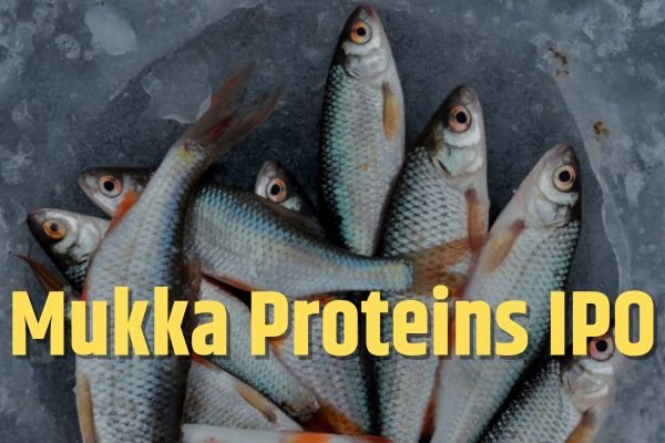 Read more about the article Mukka Proteins IPO : गाडी कमाई का मौका, आज से शुरु आईपीओ सब्सक्रिप्शन