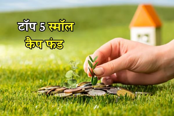 Read more about the article एसआईपी के लिए टॉप 5 स्मॉल कैप फंड