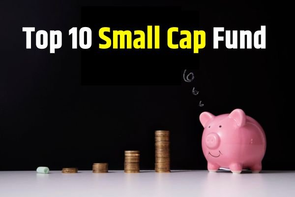 Read more about the article Mutual Fund : 10 स्मॉल कैप म्यूचुअल फंड, बढ़ते बाजार में कमाई का मौका