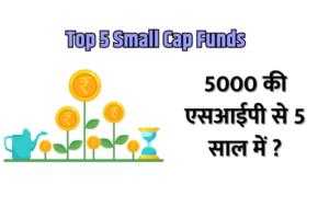 Read more about the article Top 5 Small Cap Funds : 5000 की एसआईपी से 5 सालों में इतना बना