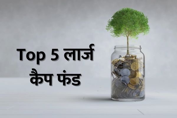 Read more about the article SIP के लिए Top 5 लार्ज कैप फंड, 35 फीसदी तक मिला कैटेगरी रिटर्न